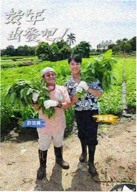 厨房考古队综艺详情标本图